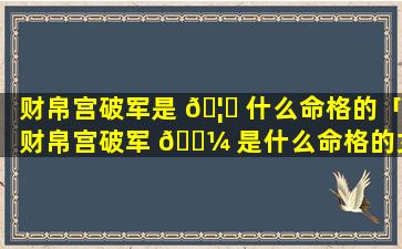 财帛宫破军是 🦋 什么命格的「财帛宫破军 🐼 是什么命格的女人」
